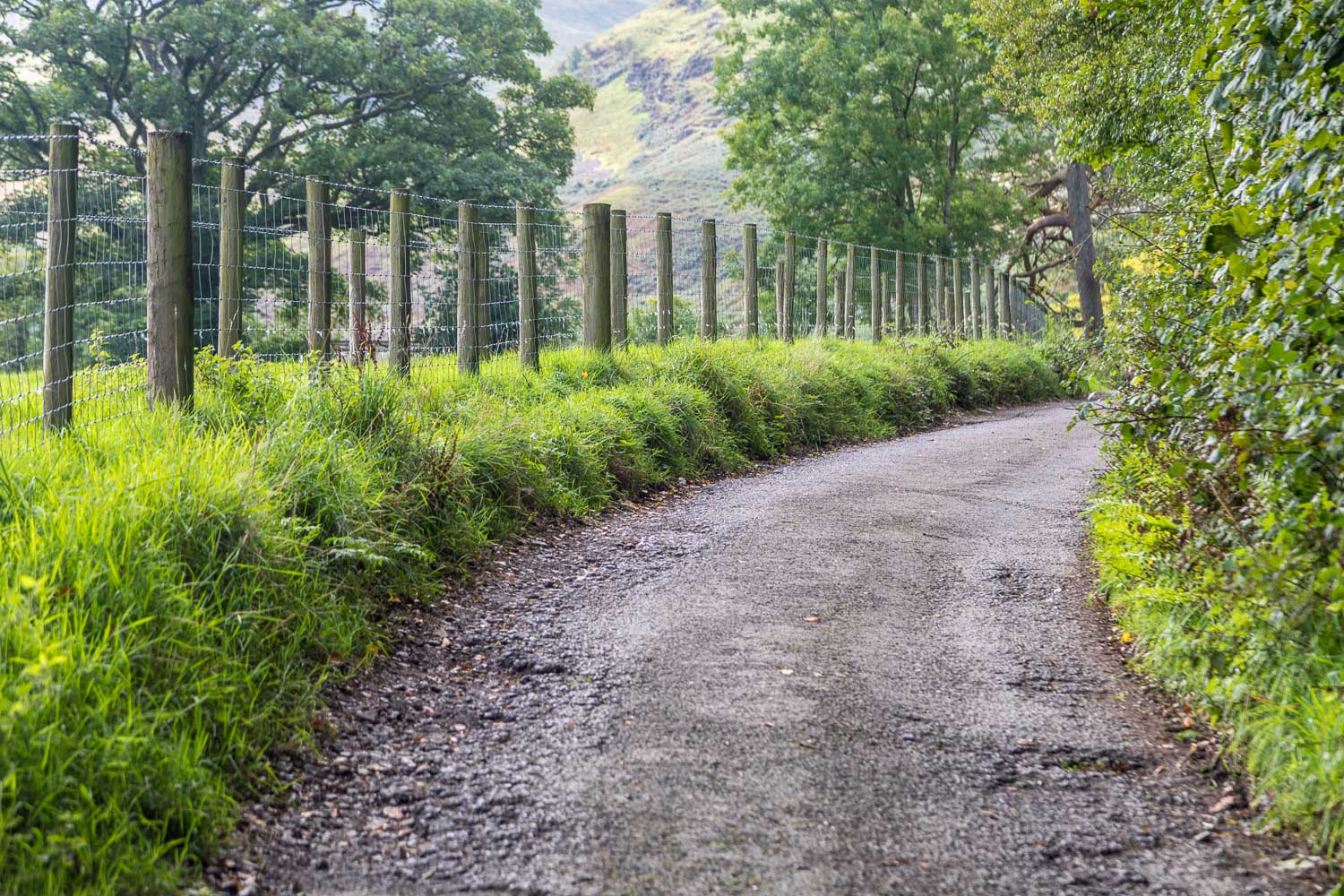 Loweswater wal Loweswater wal