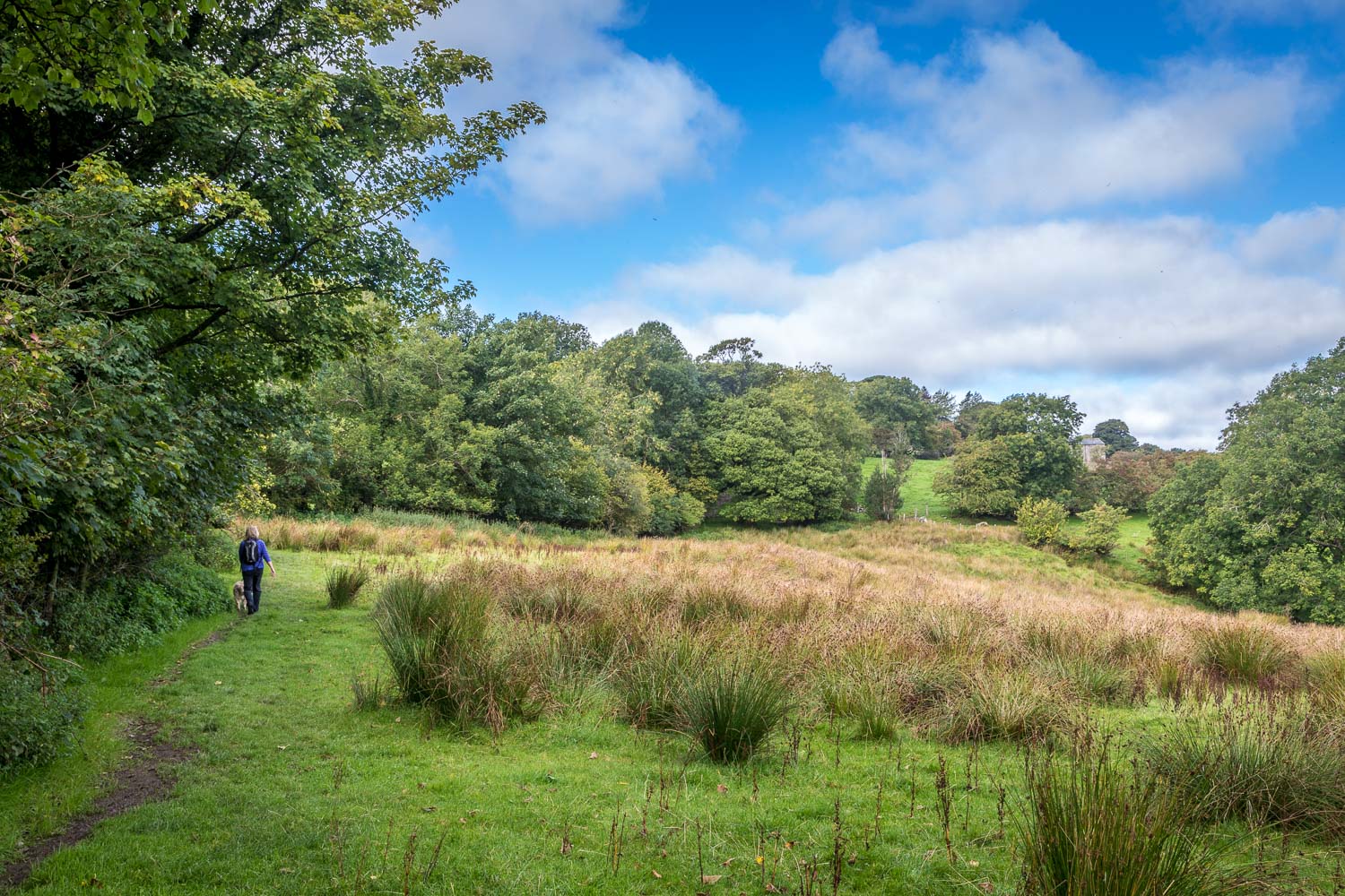 Loweswater walk Loweswater walk