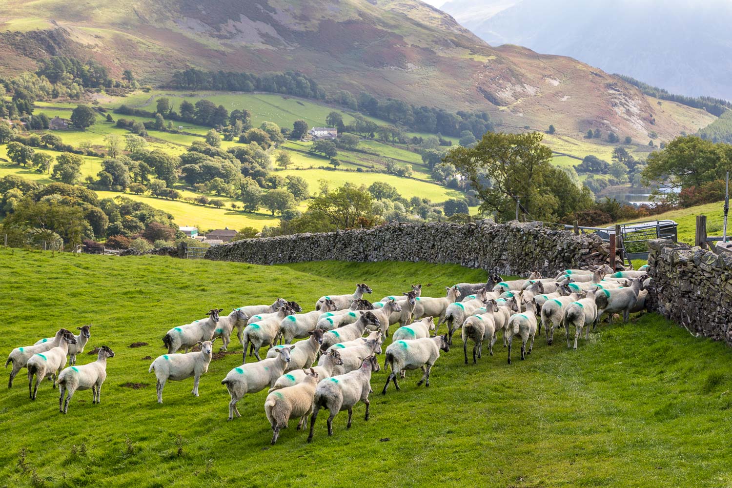 Loweswater walk Loweswater walk