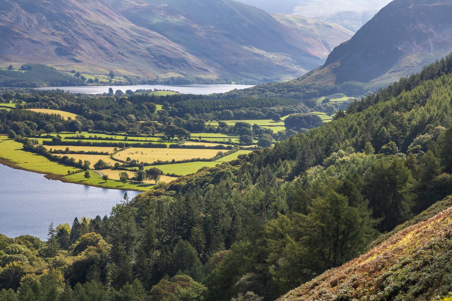 Crummock Water beyond the head of Loweswater Crummock Water beyond the head of Loweswater