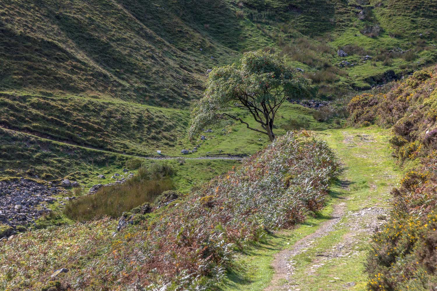 Loweswater walk Loweswater walk