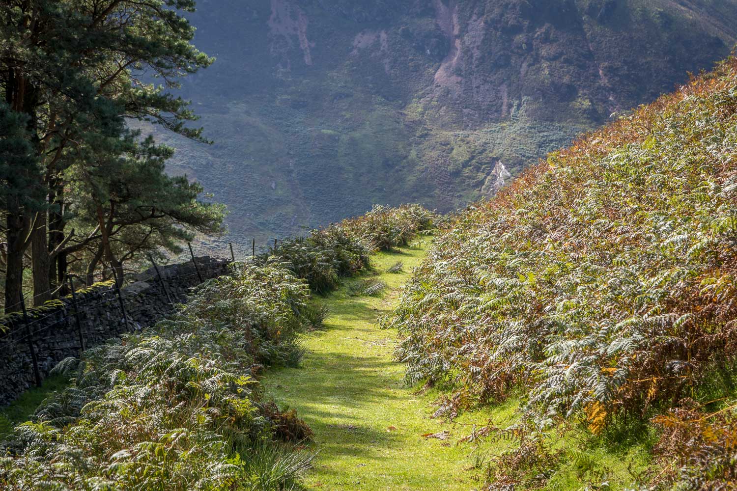 Black Crag below Gavel Fell Black Crag below Gavel Fell