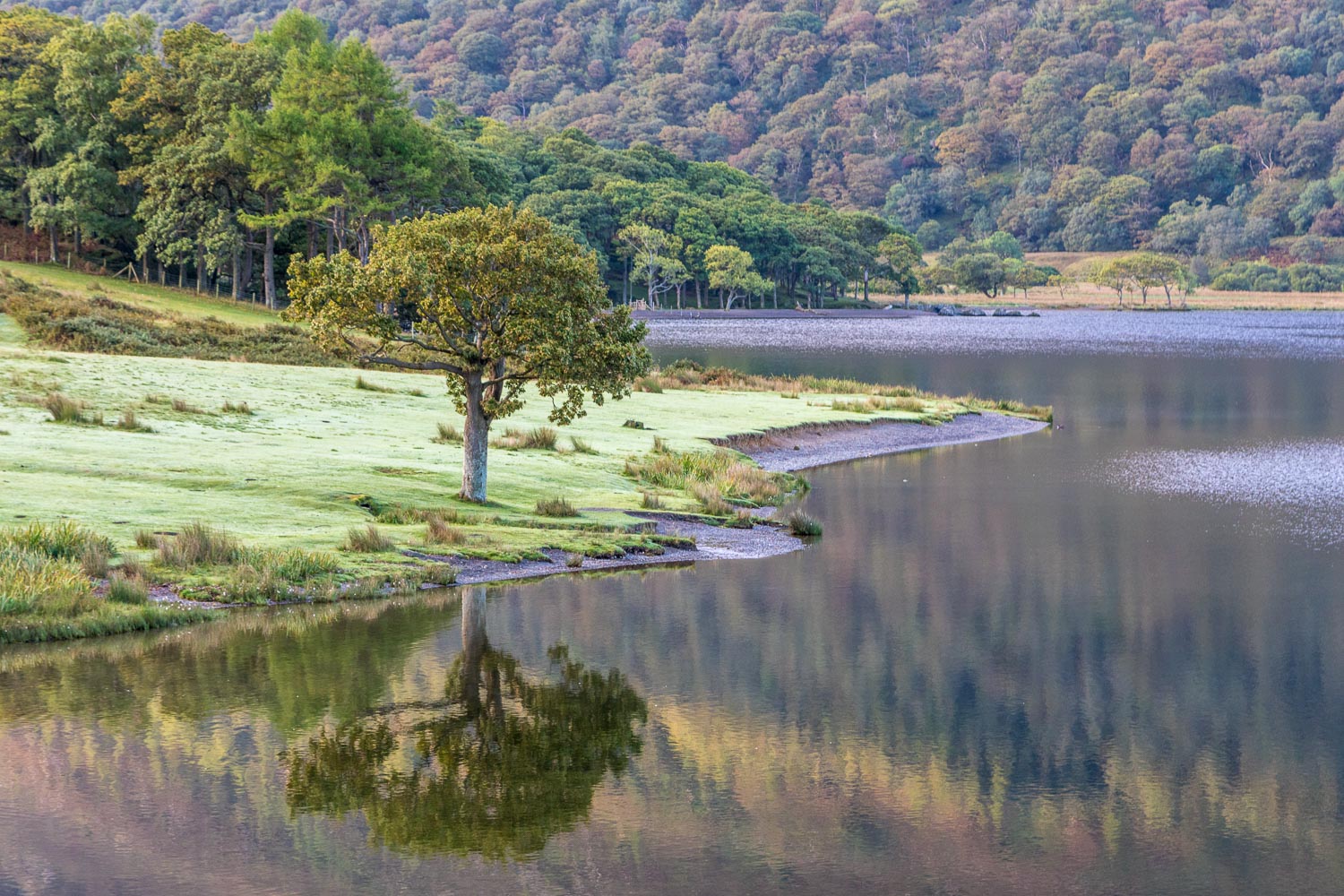 Head of Crummock Water Head of Crummock Water
