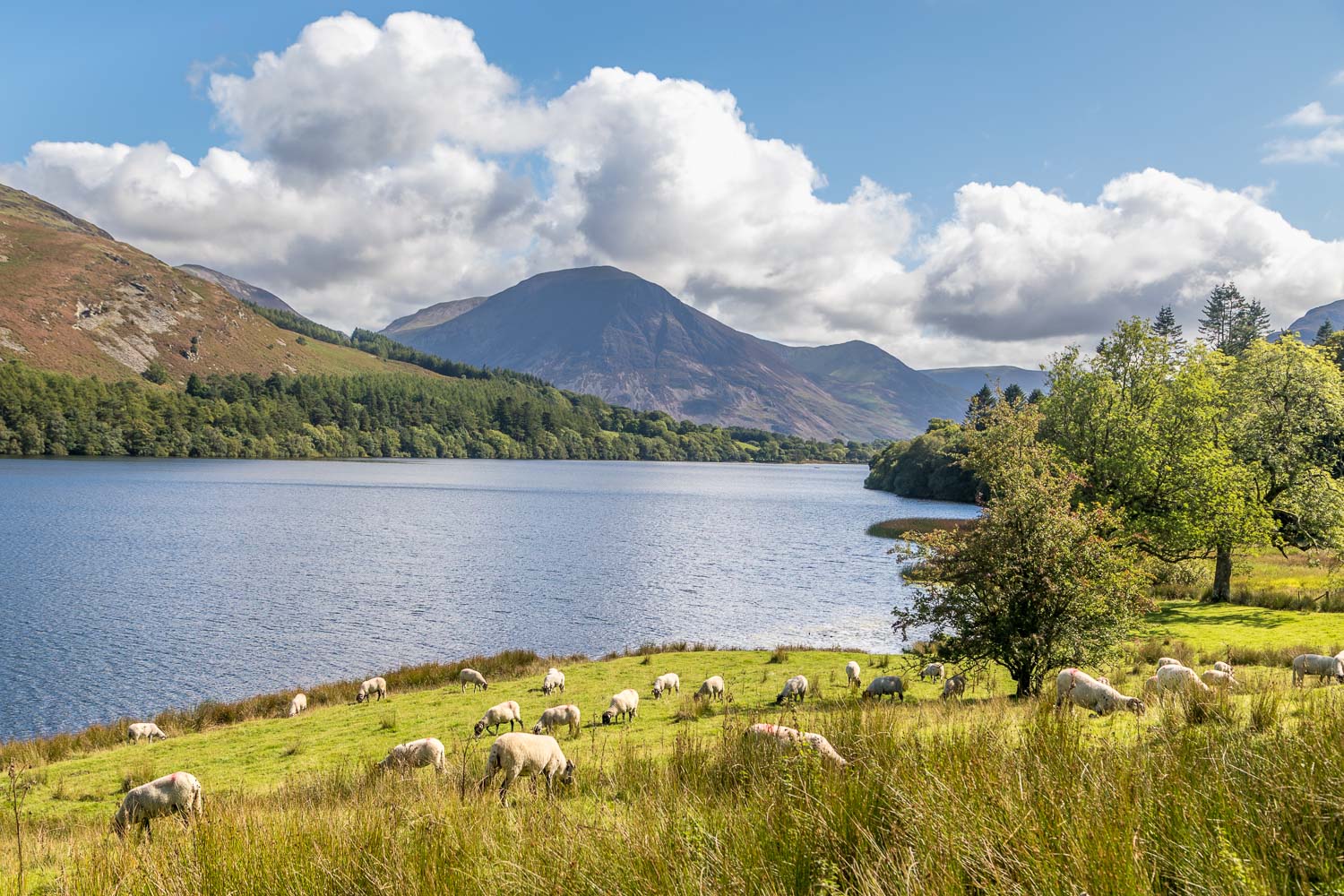 Loweswater Loweswater
