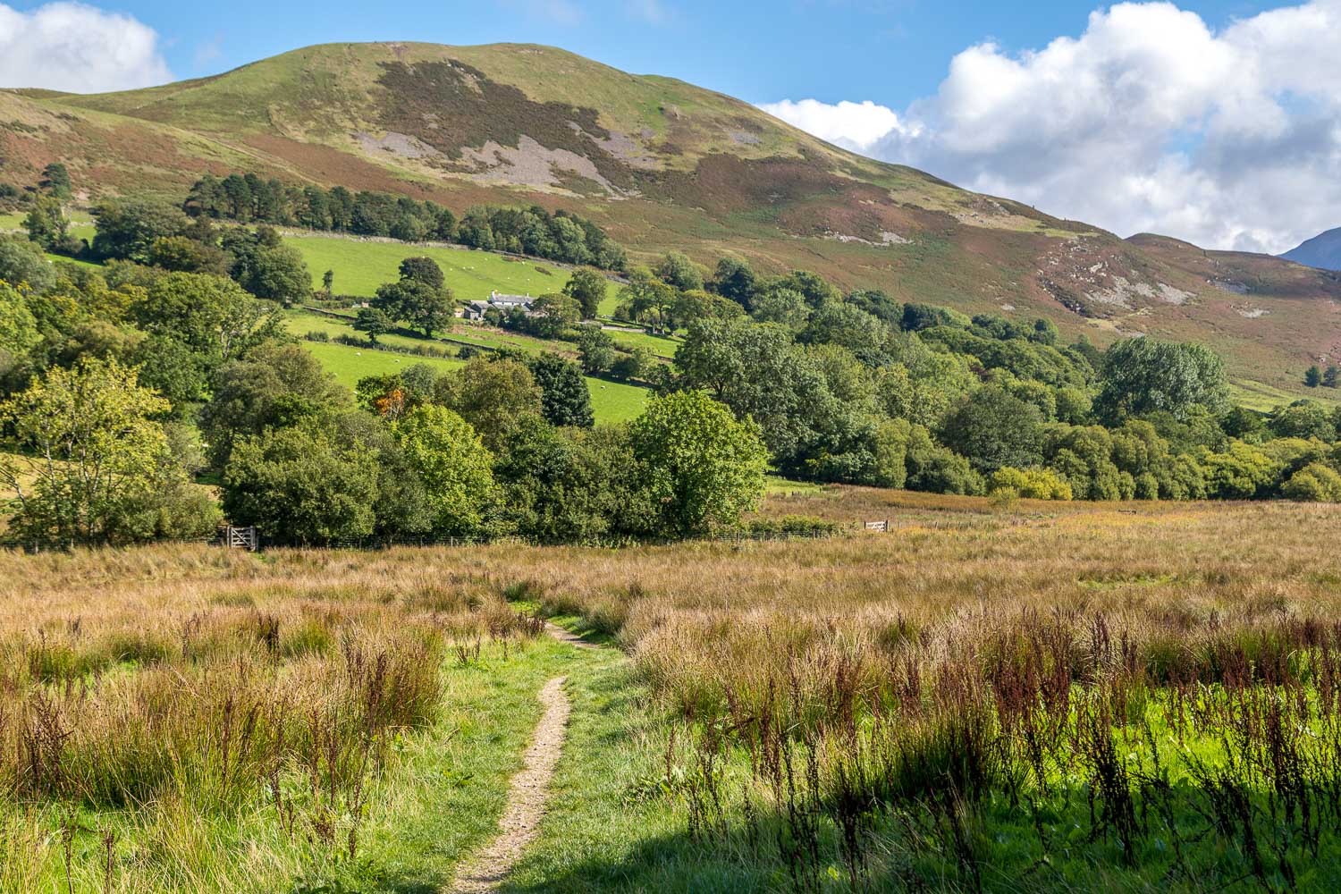 Loweswater walk Loweswater walk