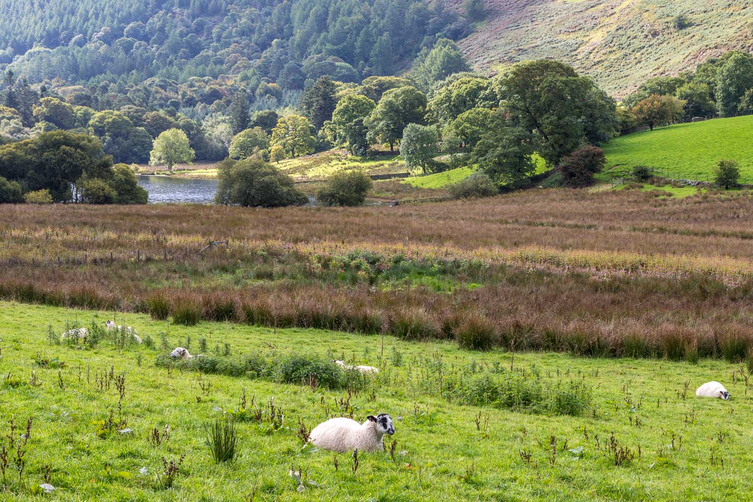 Loweswater Loweswater