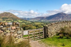 Low Fell and Lorton Vale