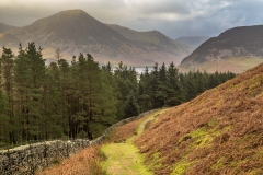 Loweswater,  Holme Wood