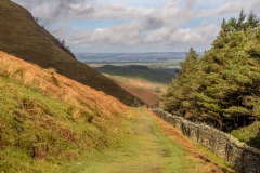 Loweswater walk, old coffin road