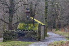 Loweswater walk, Holme Wood bothy