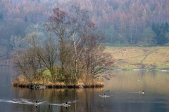 Rydal Water
