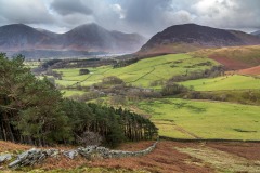 Holme Wood, Grasmoor, Crummock Water