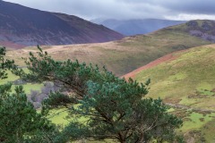 Loweswater fells