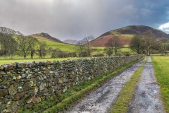 Loweswater walk
