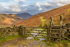 Loweswater walk, old coffin road