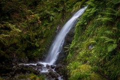 Loweswater walk, Holme Wood, Holme Force