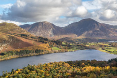 Holme Wood, Loweswater