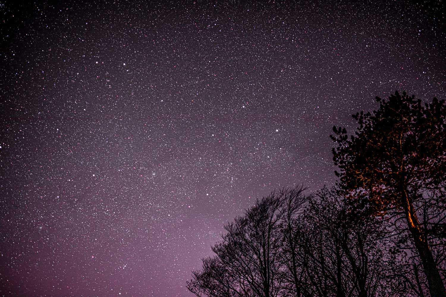 Night sky, stars, Lorton Vale