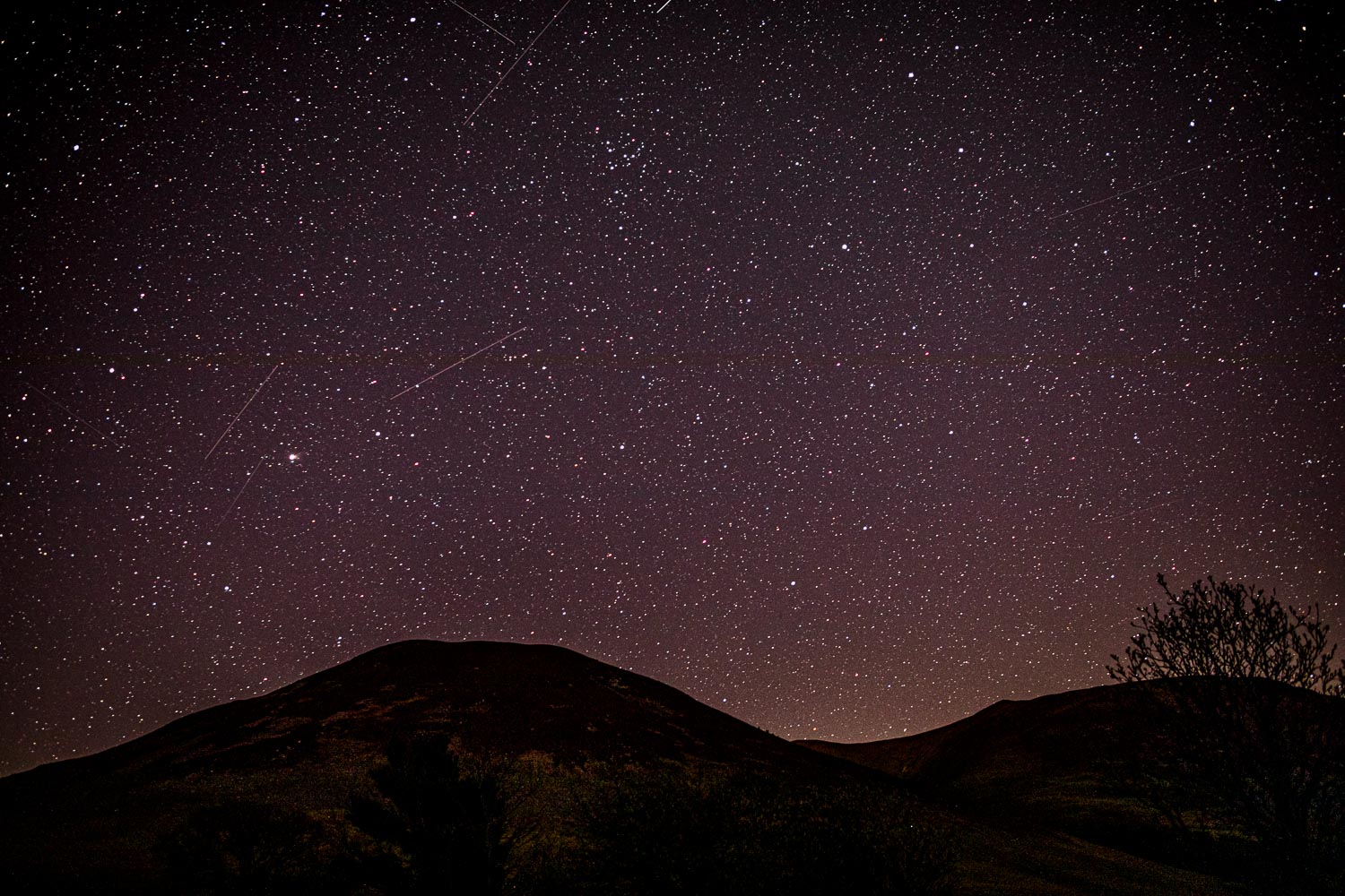 Night sky, stars, Lorton Vale