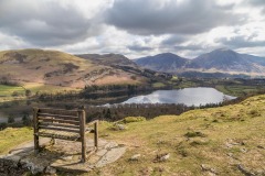 Loweswater bench