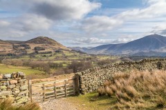 Low Fell