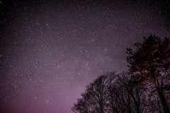 Night sky, stars, Lorton Vale