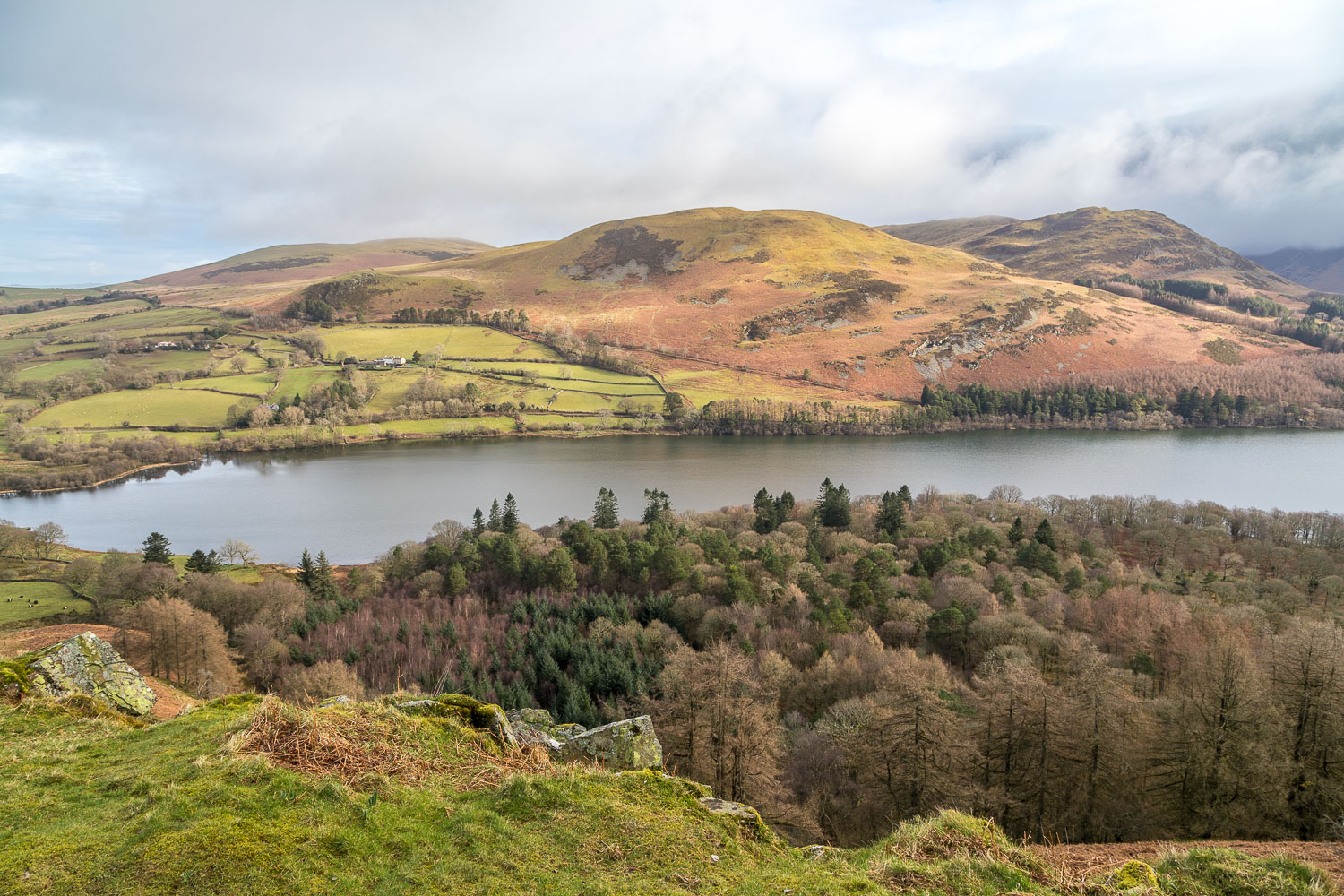 Loweswater, Holme Wood