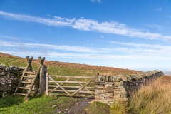 Loweswater walk