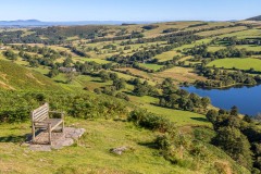 Loweswater bench