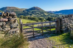 Low Fell