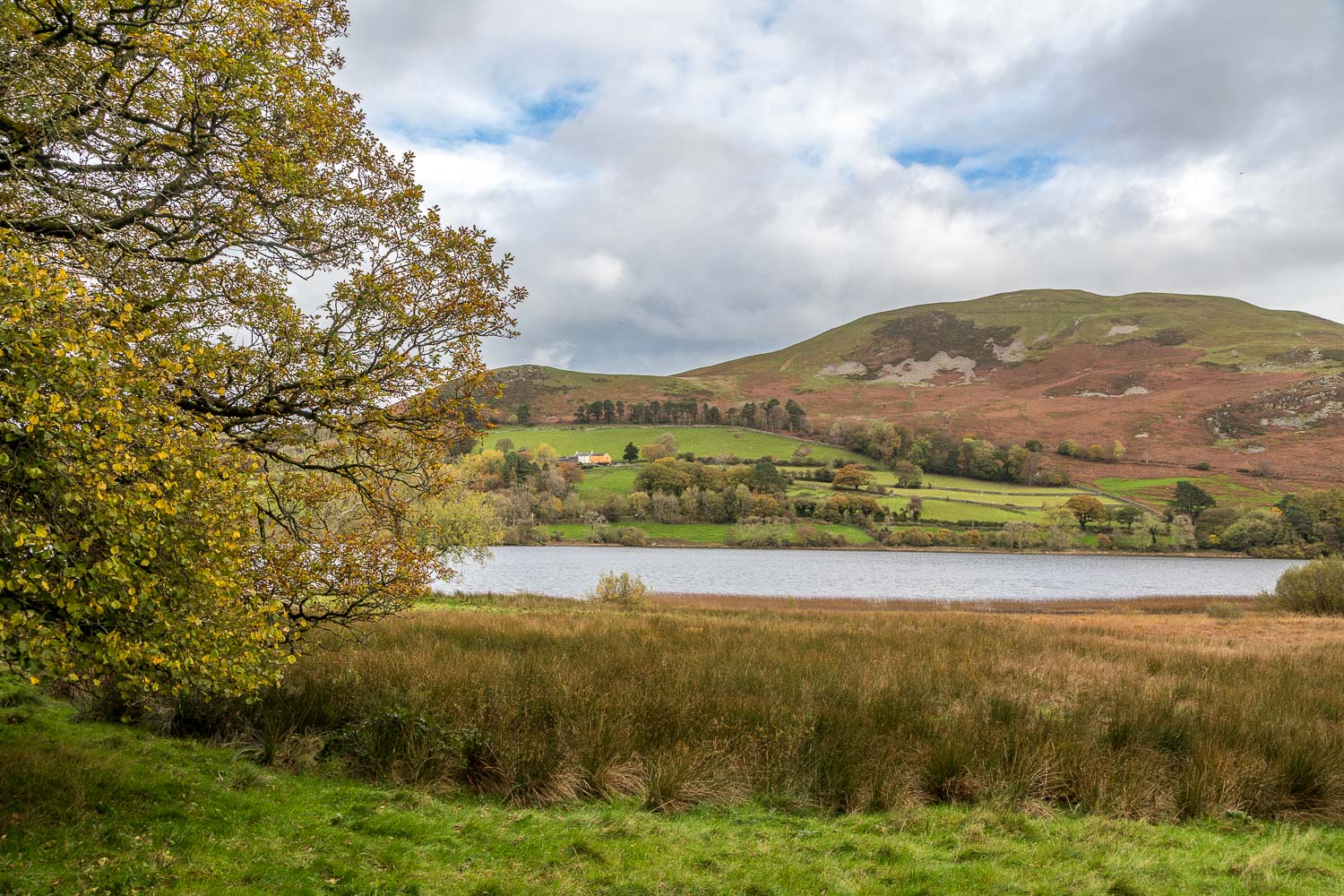 Loweswater, Darling Fell