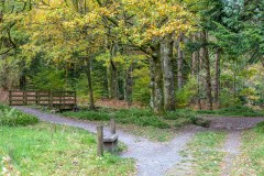 Holme Wood, Holme Beck