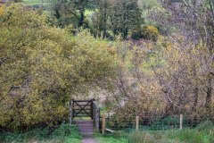 Loweswater walk