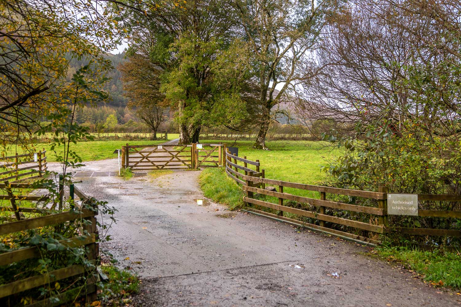 Loweswater walk Loweswater walk