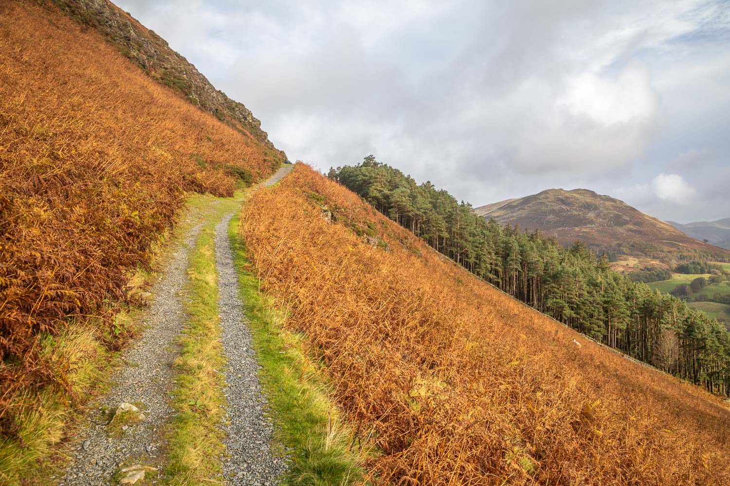old coffin road, Loweswater old coffin road, Loweswater