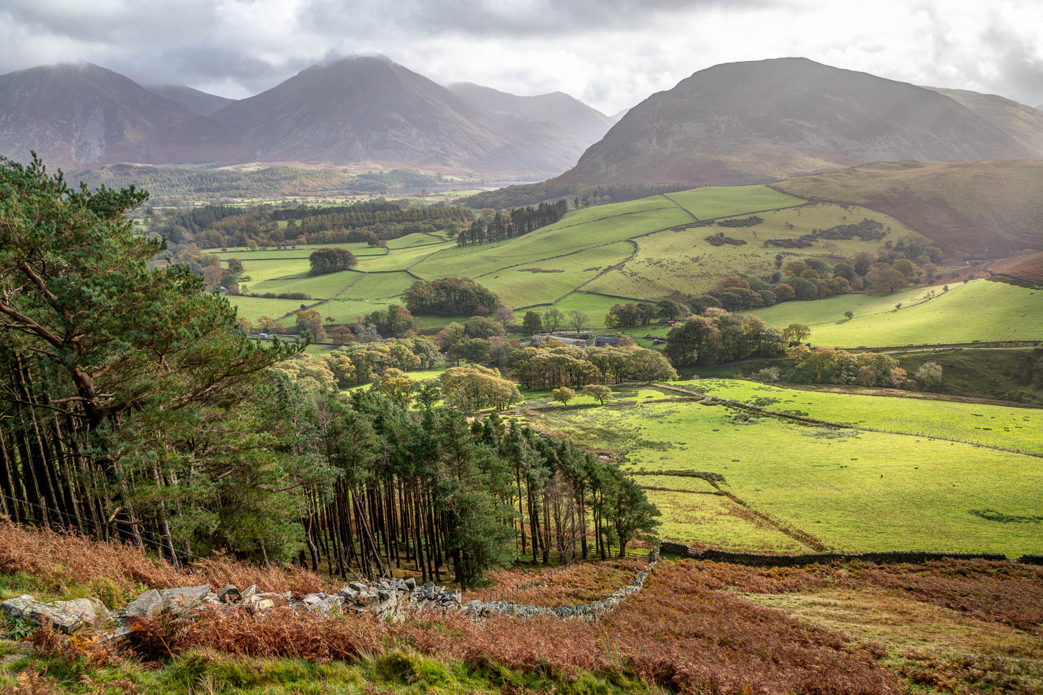 Loweswater, Holme Wood Loweswater, Holme Wood