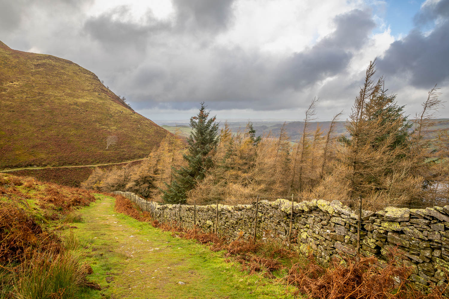 Loweswater-38-19 Loweswater-38-19