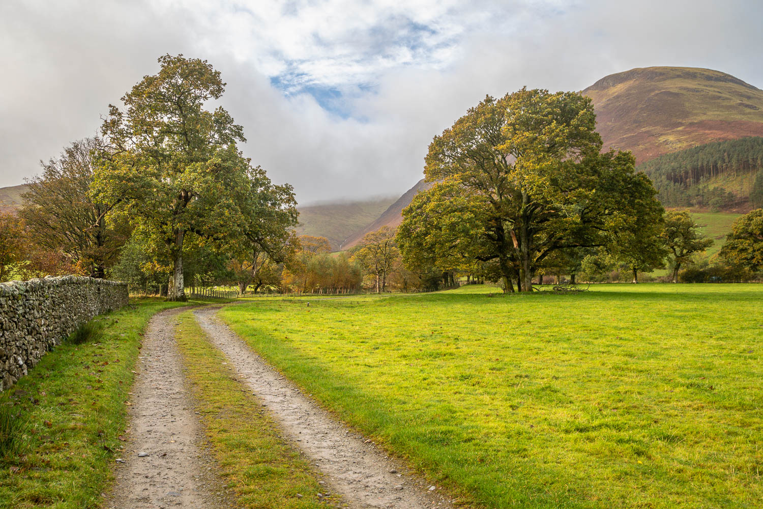 Carling Knott Carling Knott