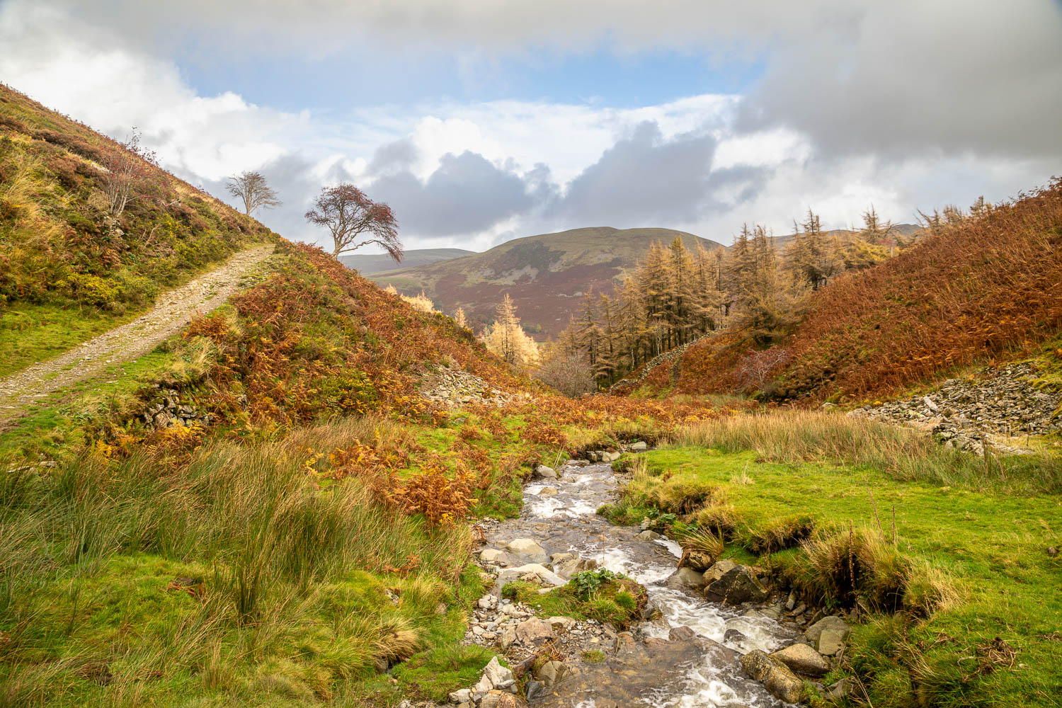 Holme Beck Holme Beck