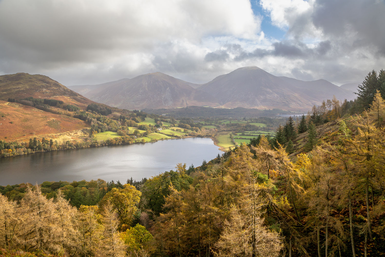 Loweswater, Holme Wood Loweswater, Holme Wood