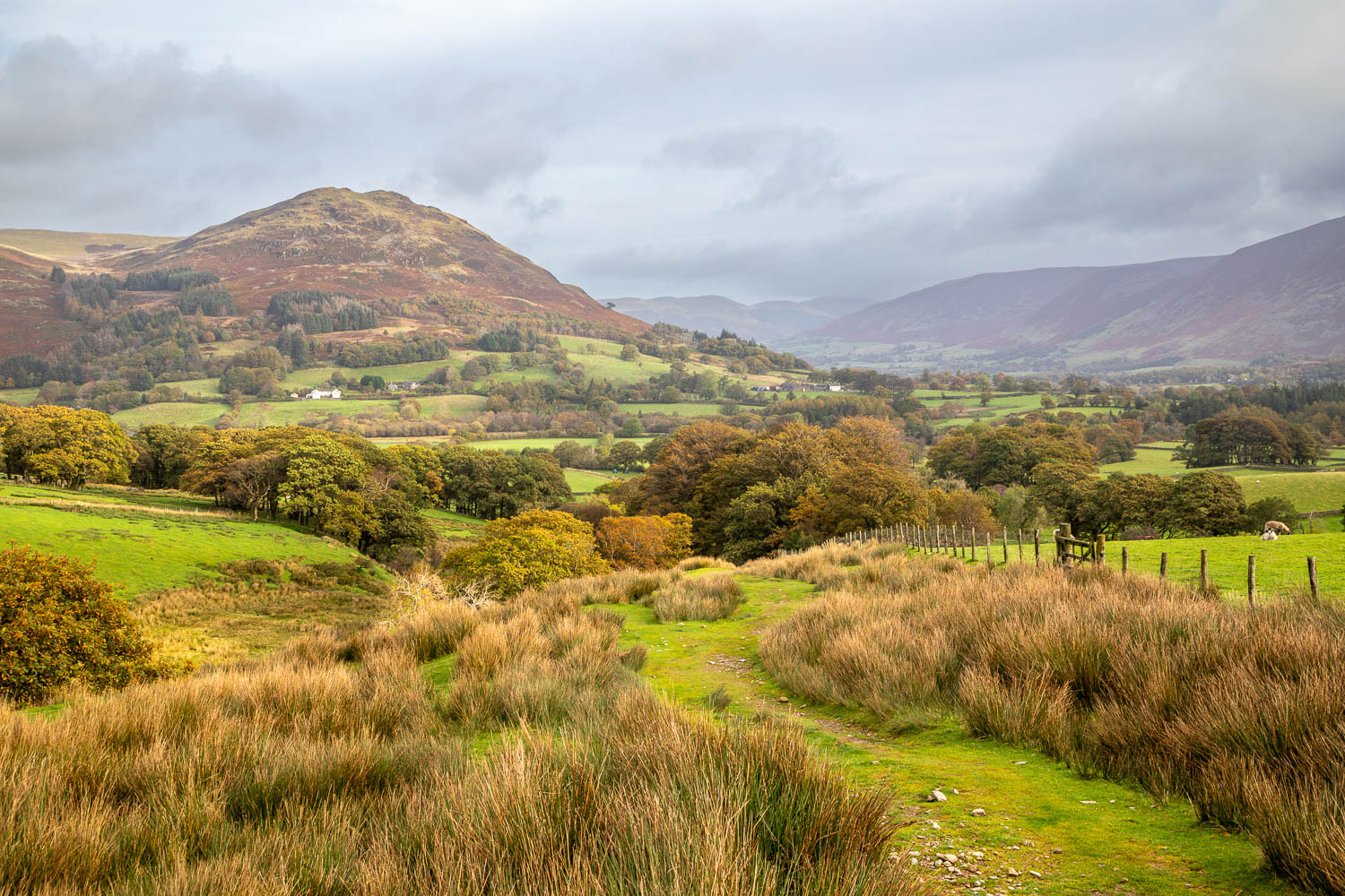 Low Fell, Lorton Vale Low Fell, Lorton Vale