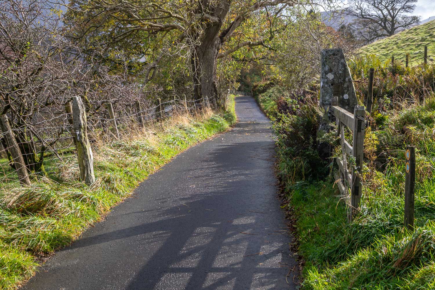 Loweswater walk Loweswater walk