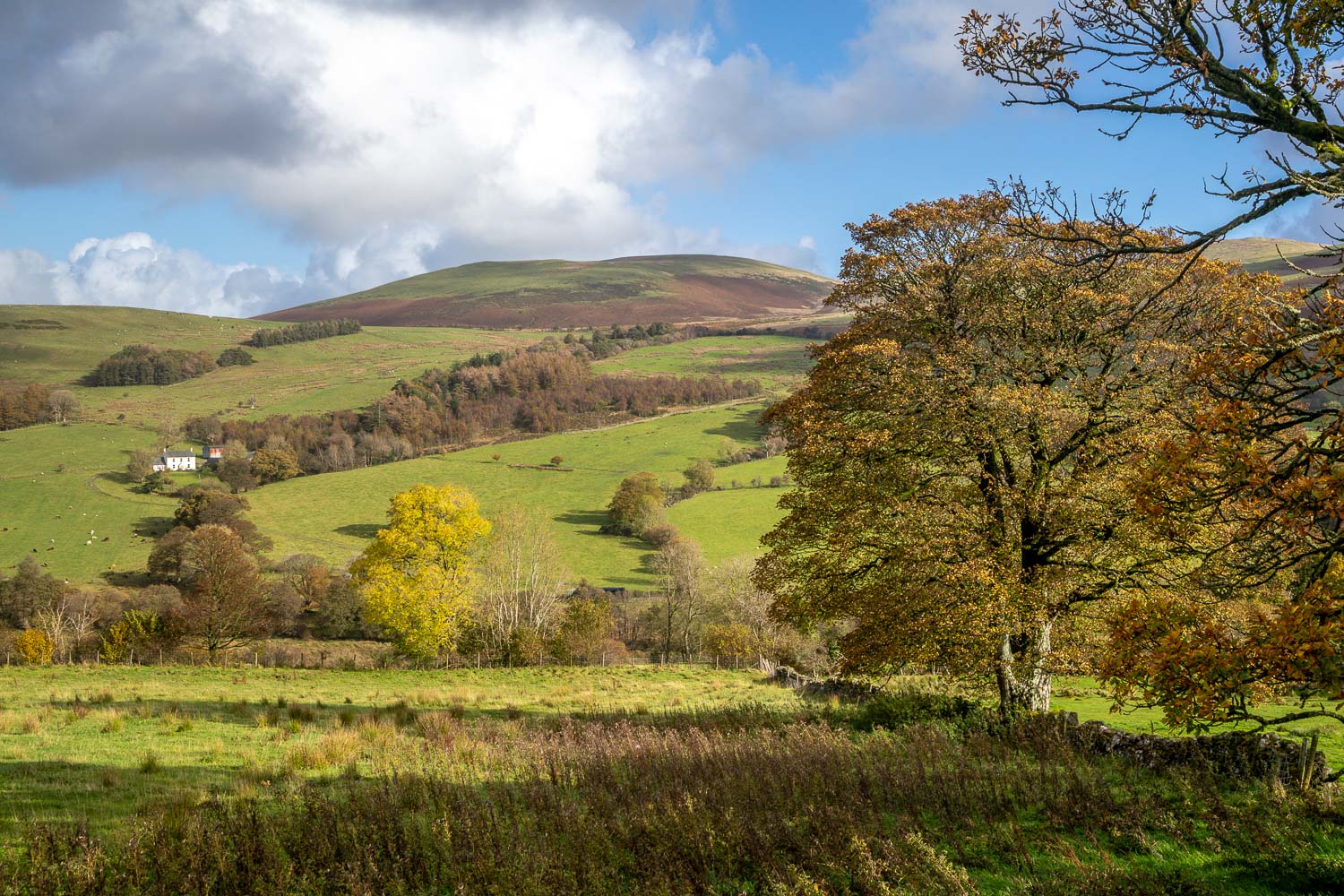 Loweswater walk Loweswater walk
