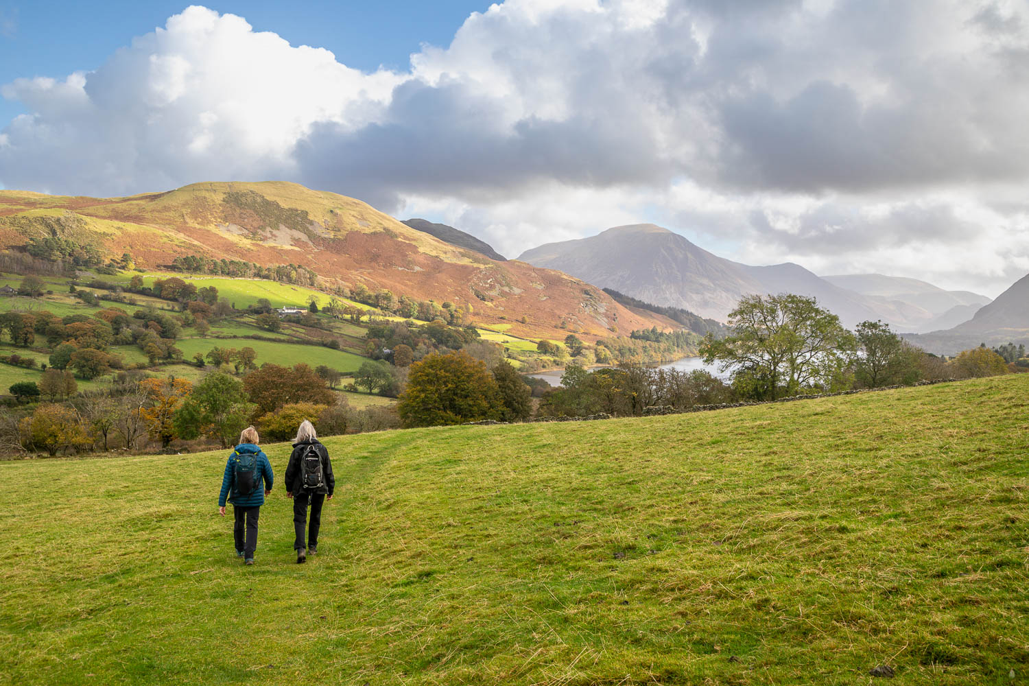 Darling Fell, Loweswater Darling Fell, Loweswater