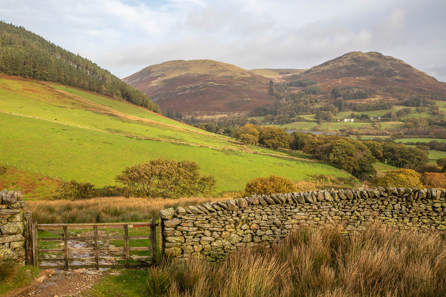 Loweswater, Low Fell, Darling Fell Loweswater, Low Fell, Darling Fell