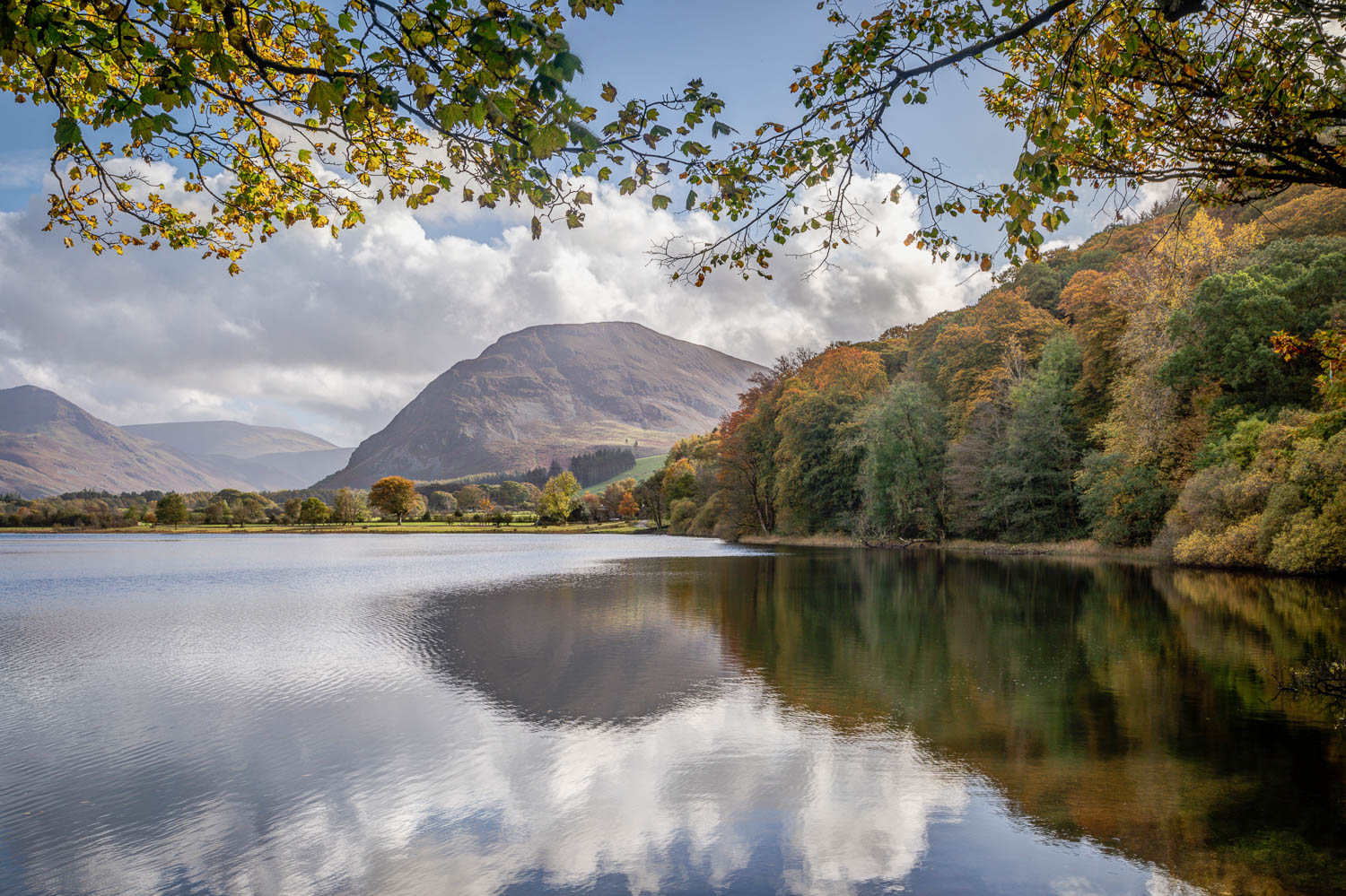 Loweswater, Mellbreak, Holme Wood Loweswater, Mellbreak, Holme Wood