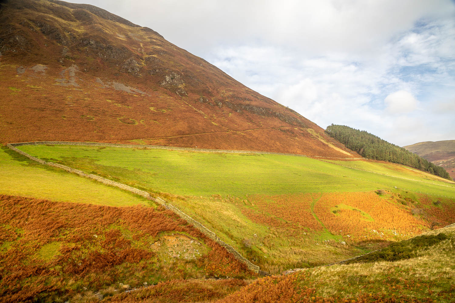 Carling Knott Carling Knott