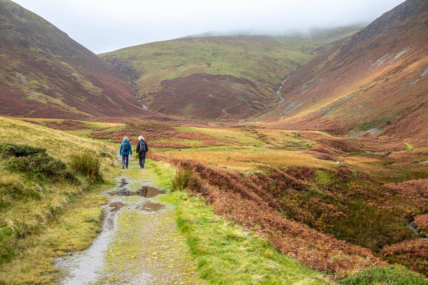 Loweswater walk Loweswater walk
