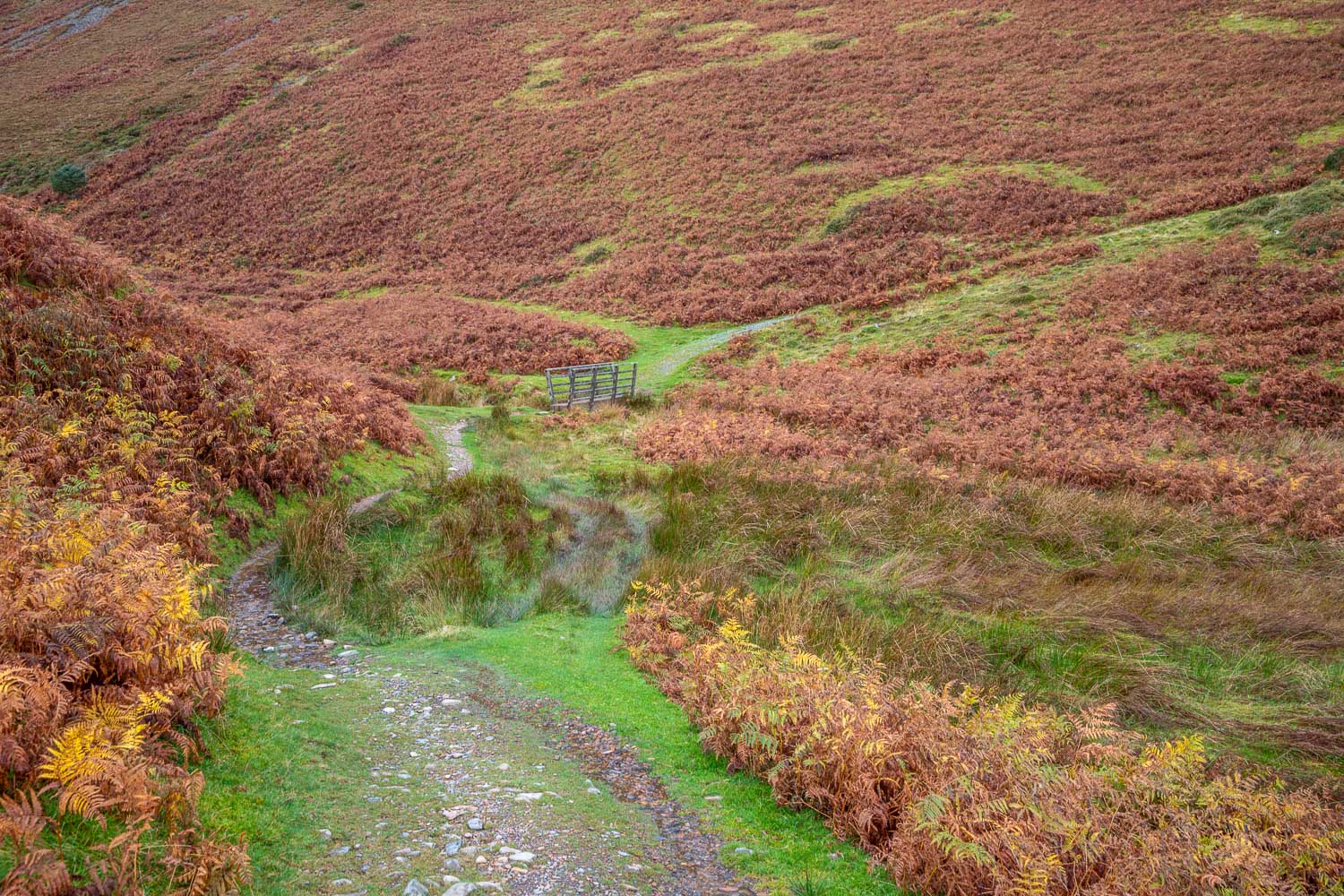 Highnook Beck Highnook Beck
