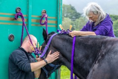 Loweswater Show 2018